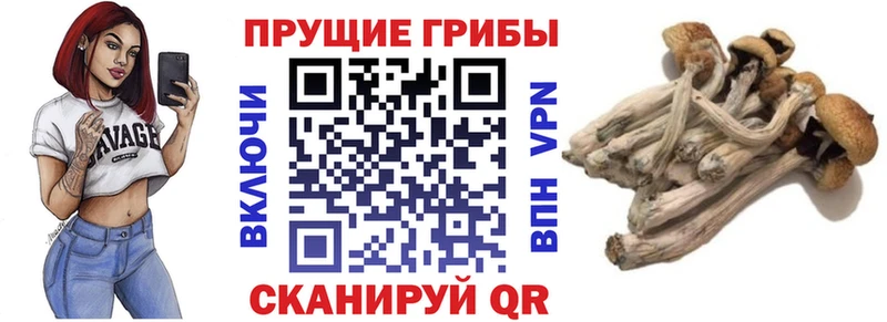 Псилоцибиновые грибы мухоморы Чкаловск